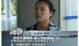 深圳女士爆料新闻视频,揭露惊人内幕，引发社会关注